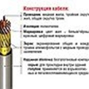 Инструментальный кабель RE-2X(St)Н-ТIMF фото