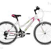 Велосипед Stinger Latina 24 (2018) Розовый 14 ростовка фотография
