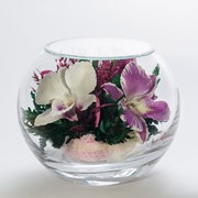 Орхидея в стекле tm FIORA BS-o1-35135 фото