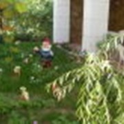 Бронирование мест в гостинице фото