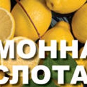 Добавки пищевые Лимонная кислота фото