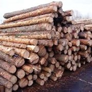 Продам сырье техническое дрова сосна