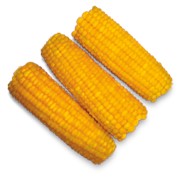 Весовая кукуруза в початках