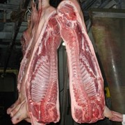 Продажа мяса свинины в полутушках