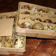 Упаковка для перепелиных яиц от производителя фото