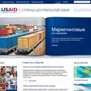 Сайт для USAID фото