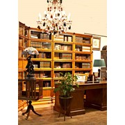 Мебель корпусная из массивной древесины для библиотек и кабинетов от производителя Вандиксон.
