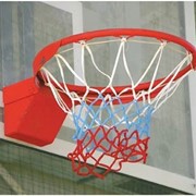 Кольцо баскетбольное амортизационное Atlet IMP-A09 фотография
