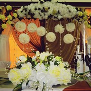 Свадебная арка из цветов фотография