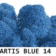 Стабилизированный мох. Цвет Artis Blue 14