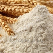 Мука из твердых сортов пшеницы на Экспорт фотография