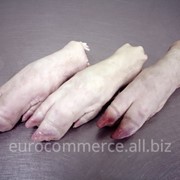 Ножки свиные задние фото