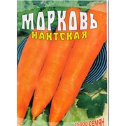 Семена Морковь Нантская фото