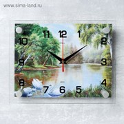 Часы настенные, серия: Природа, “Природа“ микс 20х26 см фотография