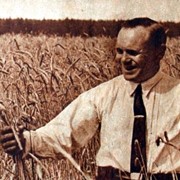 Калий хлористый мелкий белый/розовый фото