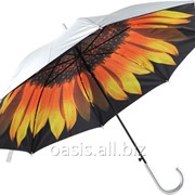 Зонт-трость Подсолнух фотография