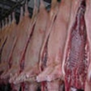 Мясо свинина говядина телятина фото