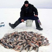 Одежда для зимней рыбалки фото