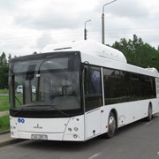 Автобус МАЗ 203068 фотография