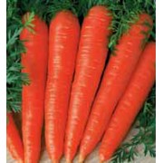 Морковь Флакко 100гр