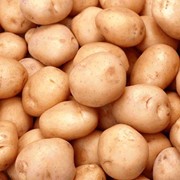 Сорт картофеля Гермес фото