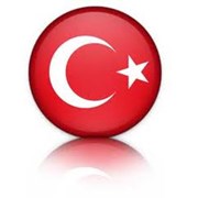 Турецкий язык для ДЕТЕЙ от Open Door! фотография