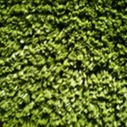 Трава искусственная для тенниса фото