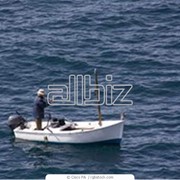 Рыбная ловля и подводная охота фото