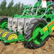 Рассадопосадочная машина Agricola/Sfoggia Calibra Twin/Tandem (овощная) фото