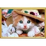 Картина Раскраска по номерам цифрам КОШЕЧКА В ШЛЯПЕ фото