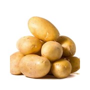 Картофель, купить картофель с поля, опт, Херсонская область фото