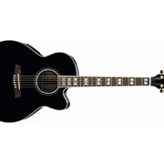 Электроакустическая гитара Ibanez AEL30SE (BK) фото