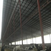 Строительство животноводческих ферм фото