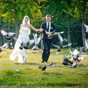 Видеосъемка свадебная фото