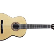 Классическая гитара с пьезозвукоснимателем Hohner HC-06E фото
