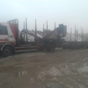 Услуги Лесовоза Scania 143h c гидроманипулятором фото