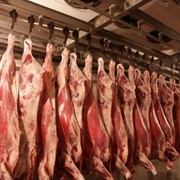 Экологически чистое мясо говядины
