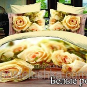 Комплект постельного белья Белые розы Bella Donna BV-M-0018 фото