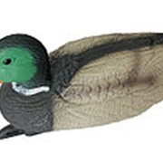 Чучело кряквы плавающей (селезень) 12 шт./уп. фото
