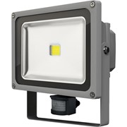 Светодиодный Прожектор с датчиком движения Shine LED 30W COB фотография
