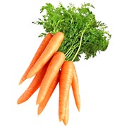 Морковь оптом г.Актобе