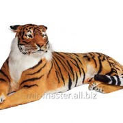 Тигр в натуральную величину из искусственных материалов фото
