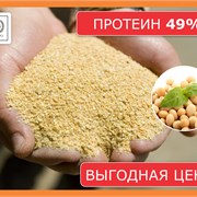 Шрот соевый (49% и 51% протеин) с доставкой