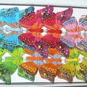 Бабочка (12 см) фото