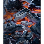Уголь древесный фото