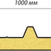 Кровельные сэндвич панели серии ISС для объектов с регулируемой атмосферой (сквозное крепление) и изоляционным материалом из пенополиизоцианурата фото