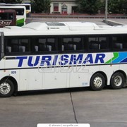 Реклама на транспорте в Мариуполе фото