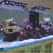 Изготовление аквариумов на заказ фото