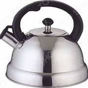 Чайник со свистком Bekker BK-S615 фотография