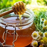 Экспортные поставки весового и фасованного мёда фотография